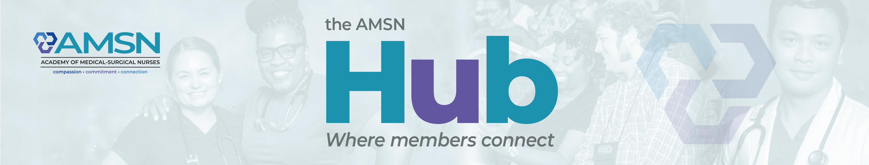 The AMSN Community Hub